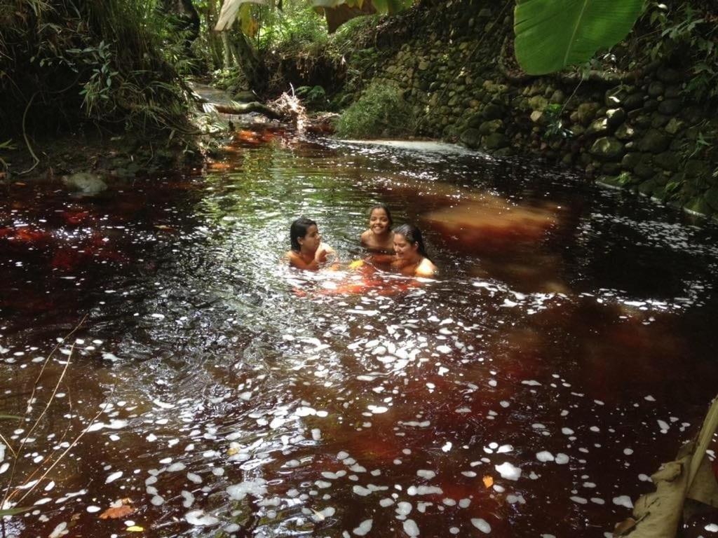 Hospedaria Quintal Dos Sonhos Vale do Capao Εξωτερικό φωτογραφία